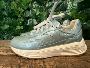 Nieuwe sneakers van Xsensible maat 37 (wijdte G)