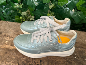 Nieuwe sneakers van Xsensible maat 43 (wijdte G)