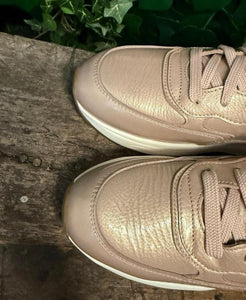 Nieuwe sneakers van Xsensible maat 37 (wijdte G)