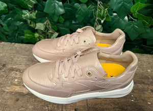 Nieuwe sneakers van Xsensible maat 37 (wijdte G)