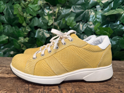 Nieuwe sneakers van Xsensible maat 40(wijdte G)