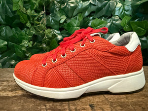 Nieuwe sneakers van Xsensible maat 37 (wijdte G)