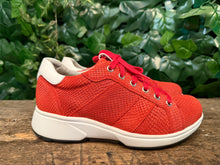 Afbeelding in Gallery-weergave laden, Nieuwe sneakers van Xsensible maat 37 (wijdte G)