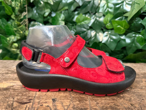 Nieuwe sandalen van Wolky maat 38