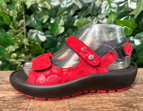 Nieuwe sandalen van Wolky maat 38
