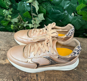 gewoon Nieuwe sneakers van Xsensible maat 40 (wijdte G)