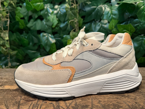 gewoon Nieuwe sneakers van Xsensible maat 38 (wijdte G)