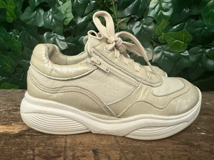 gewoon Nieuwe sneakers van Xsensible maat 38 (wijdte HX)