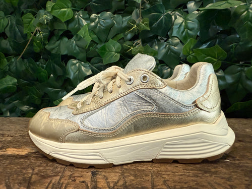 Bijna Nieuwe sneakers van Xsensible maat 38 (wijdte G)
