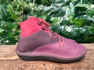 Nieuwe schoenen van loints of holland maat 36
