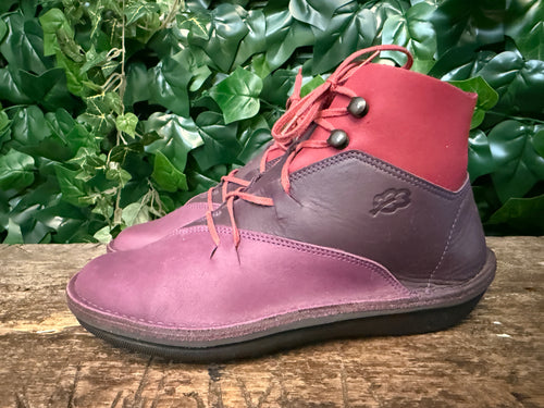 Nieuwe schoenen van loints of holland maat 36
