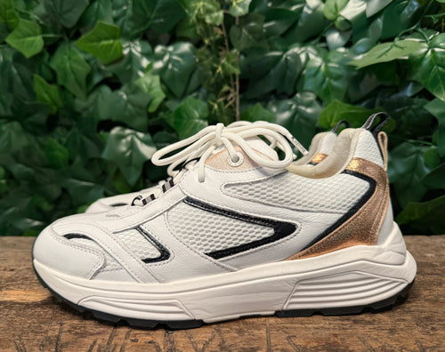 Nieuwe sneakers van Xsensible maat 40 (wijdte G)