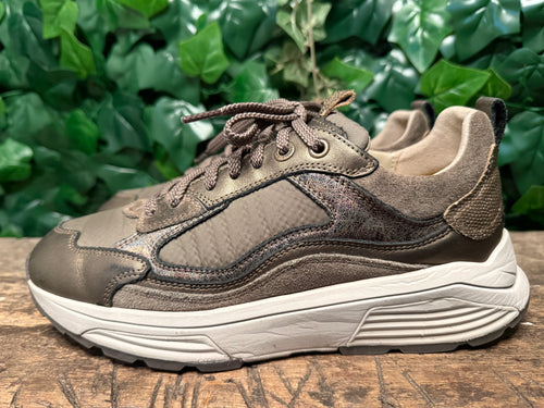 gewoon Nieuwe sneakers van Xsensible maat 40 (wijdte G)