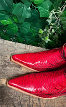 Afbeelding in Gallery-weergave laden, geweldig Nieuwe python laars van Sendra maat 40