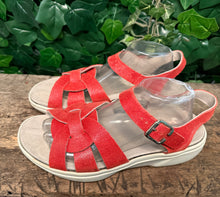 Afbeelding in Gallery-weergave laden, Bijna Nieuwe sandalen van Xsensible maat 43 (wijdte H)