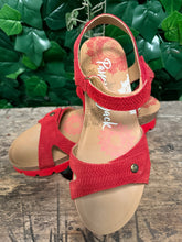 Afbeelding in Gallery-weergave laden, Nieuwe sandalen van panama jack maat 39