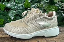 Afbeelding in Gallery-weergave laden, Nieuwe prachtige sneakers Xsensible maat 37 (wijdte H)