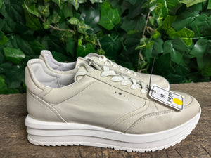 Nieuwe sneakers van AQA maat 42