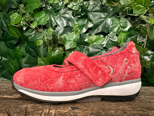 Nieuwe instappers van Xsensible maat 38 (wijdte G)