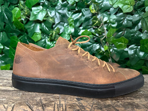 Nieuwe veterschoen van Loints of Holland maat 46