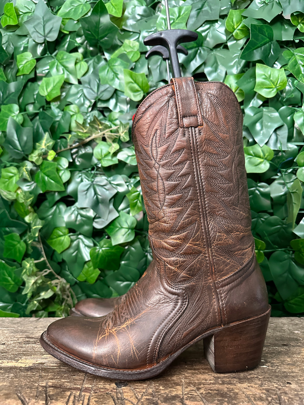 Gewoon Nieuwe laars van Sendra Maat 38