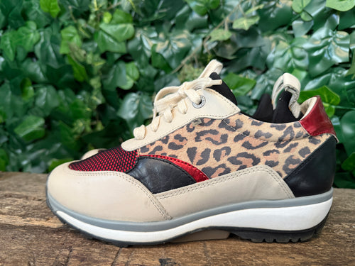 Bijna Nieuwe sneakers van Xsensible maat 38(wijdte G)