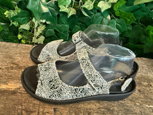 Afbeelding in Gallery-weergave laden, Bijna Nieuwe sandalen van wolky maat 40