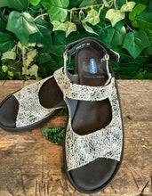 Afbeelding in Gallery-weergave laden, Bijna Nieuwe sandalen van wolky maat 40