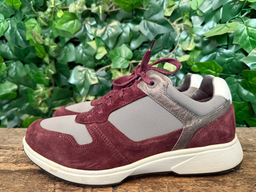 Gewoon Nieuwe sneakers van Xsensible maat 43 (wijdte H)