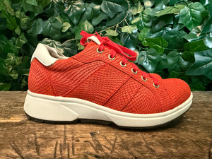 bijna Nieuwe sneakers van Xsensible maat 37 (wijdte G)