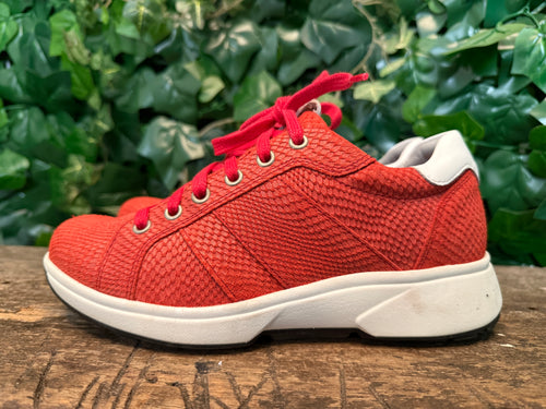 bijna Nieuwe sneakers van Xsensible maat 37 (wijdte G)