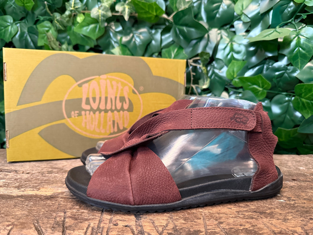 Nieuwe sandalen van Loints of Holland maat 36