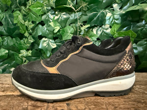 Nieuwe sneakers van Xsensible maat 38 (wijdte GX)