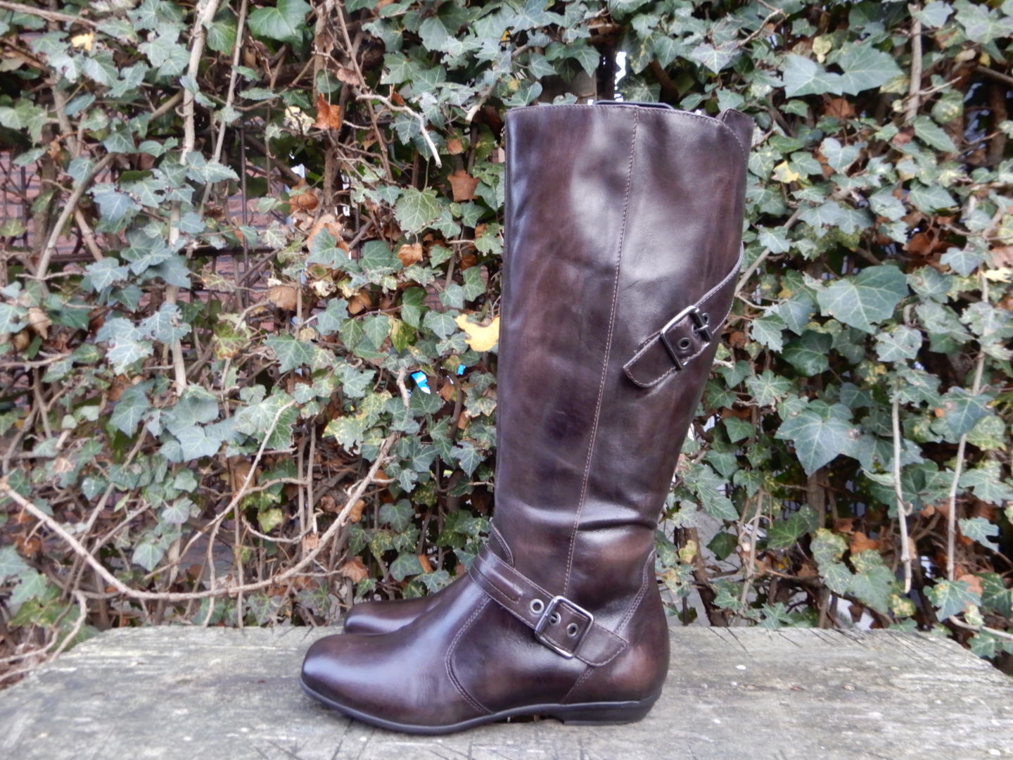 Nieuwe laarzen van Mexx maat 39 Lotteshoes4you