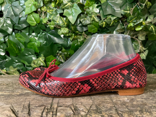 Nieuwe ballerina's van Fred de la Bretoniere maat 38